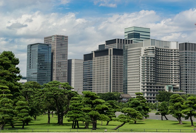 皇居周辺の風景