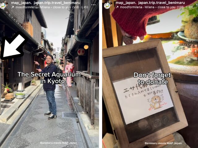 スポット紹介にとどまらず、寄付やマナー啓発も含めた「行動につながる発信を意識