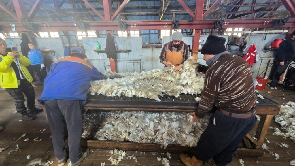 羊毛の工場見学の様子