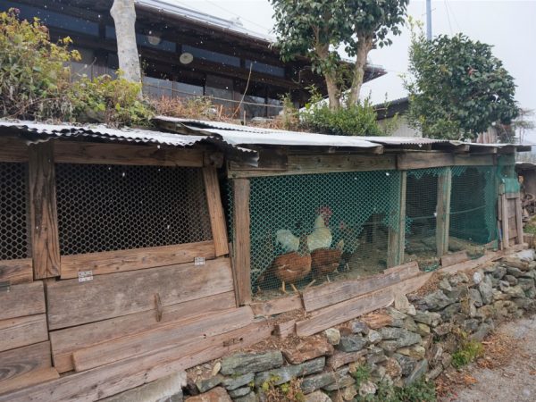 高知県大豊町みちつじ民泊3