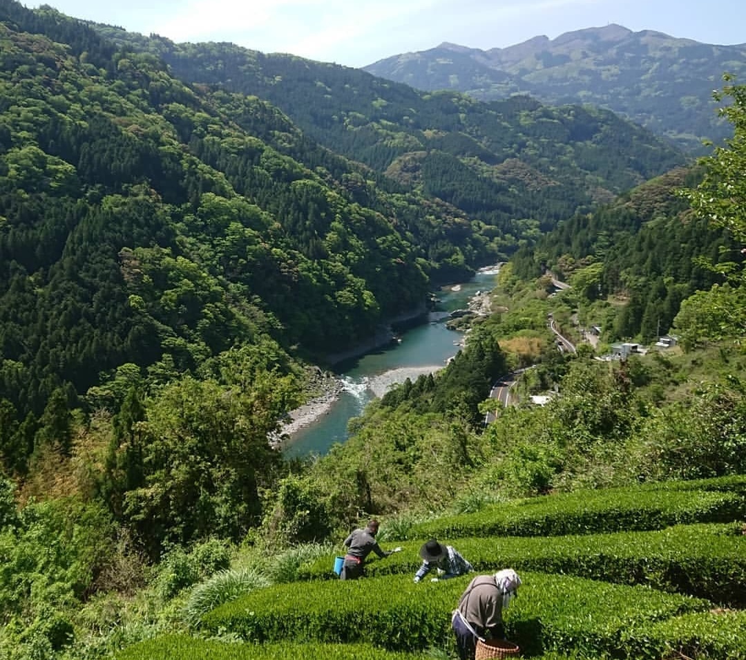 高知県大豊町みちつじ民泊4