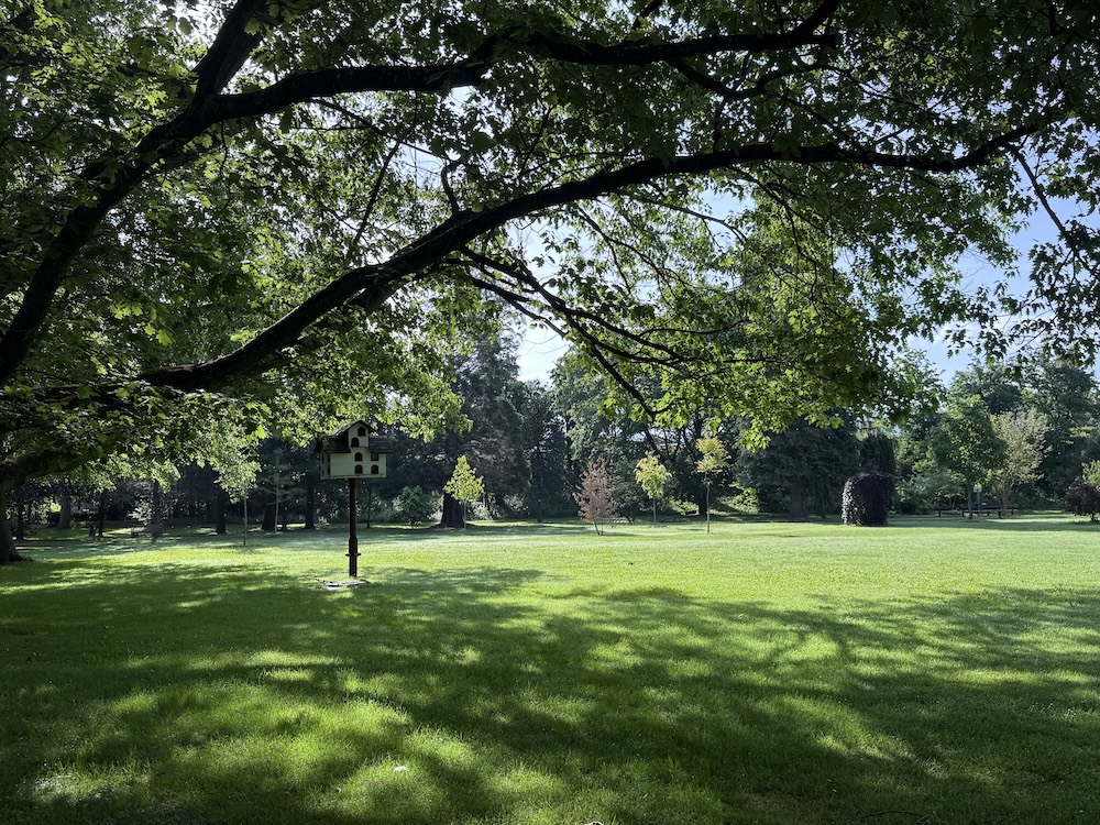 Kurpark（保養公園）