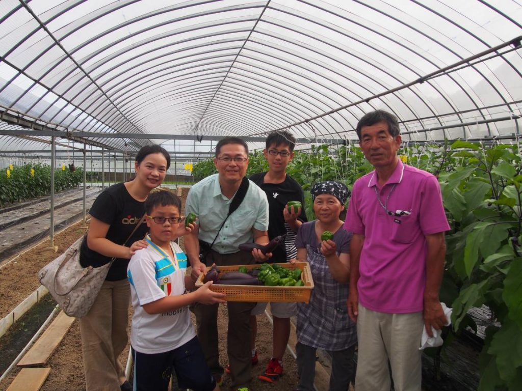 筆者が同行取材した台北在住の黄さん一家は民泊先のビニールハウスでナスやピーマンを収穫した